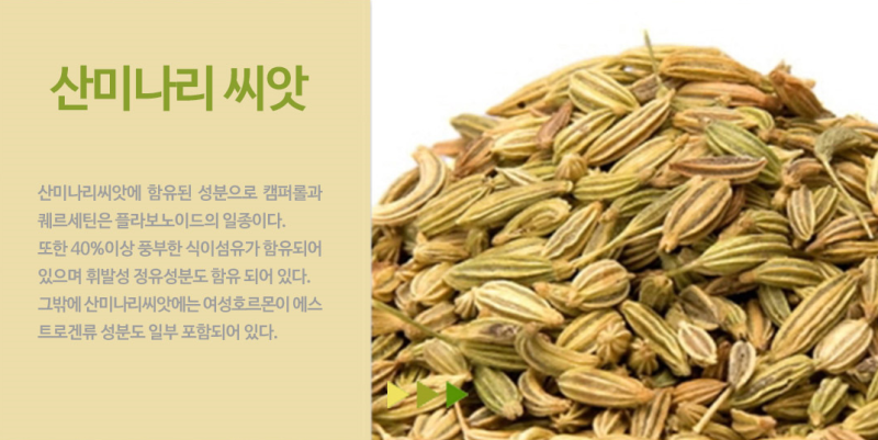 ì‚°ë¯¸ë‚˜ë¦¬ì