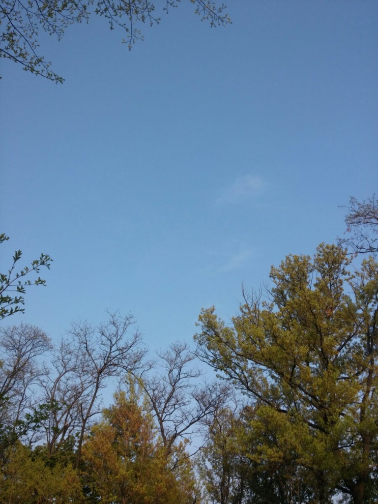 아침인사/김하인