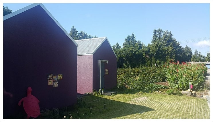  제주도 감성숙소 숲속의 작은집 춤추는달