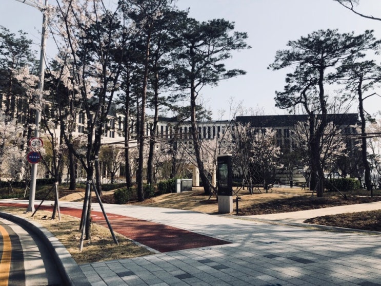  정말 좋았던 파라다이스시티 Paradisecity hotel 방문! (클럽라운지 , 사우나, 수영장, 플레이스테이션존 이용)