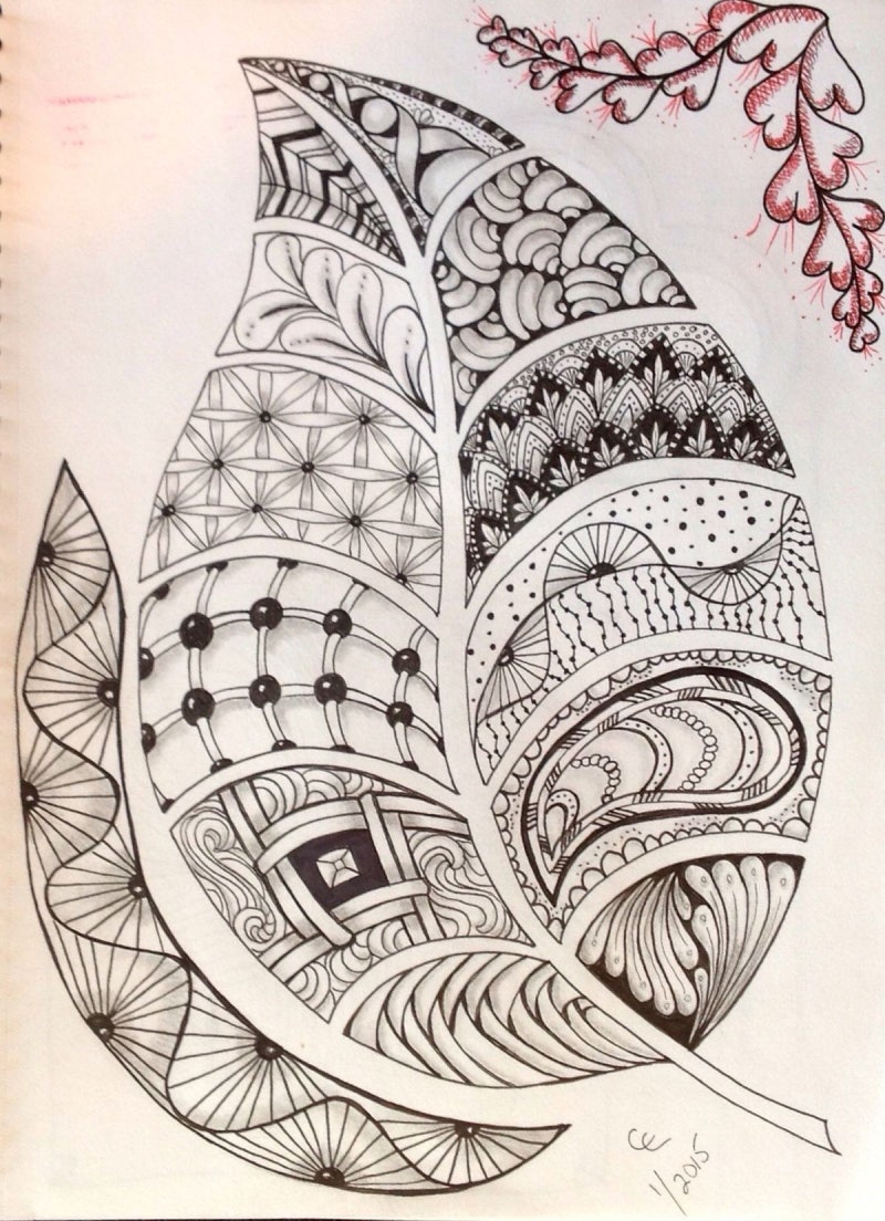 우리집 다바나 고사리랑 다르게 생겨따! ㅎㅎ, image size:800x1104