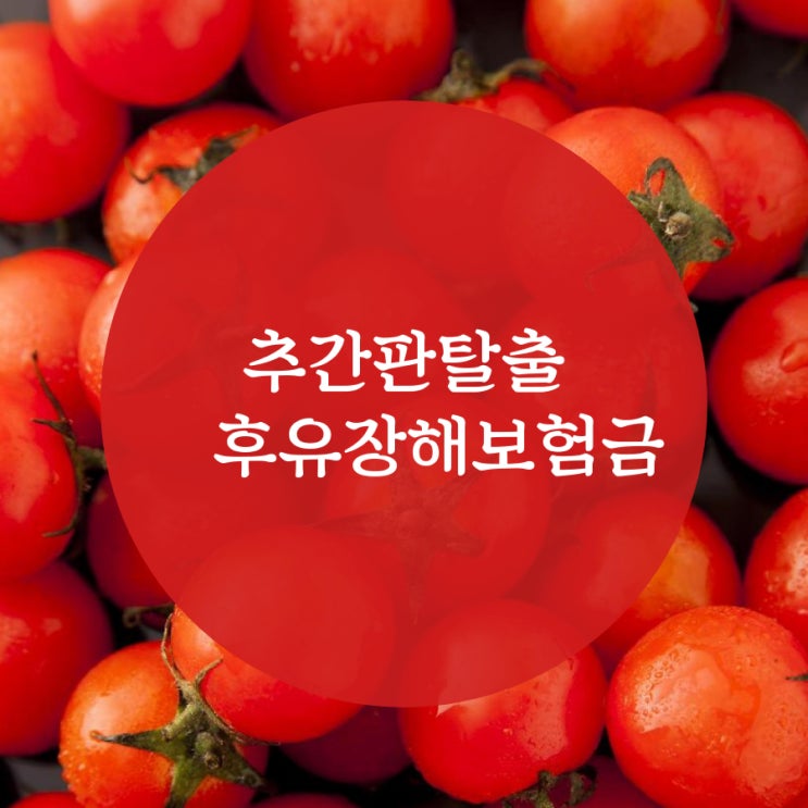  부부손해사정사와 추간판탈출증(디스크) 후유장해보험금지급받기
