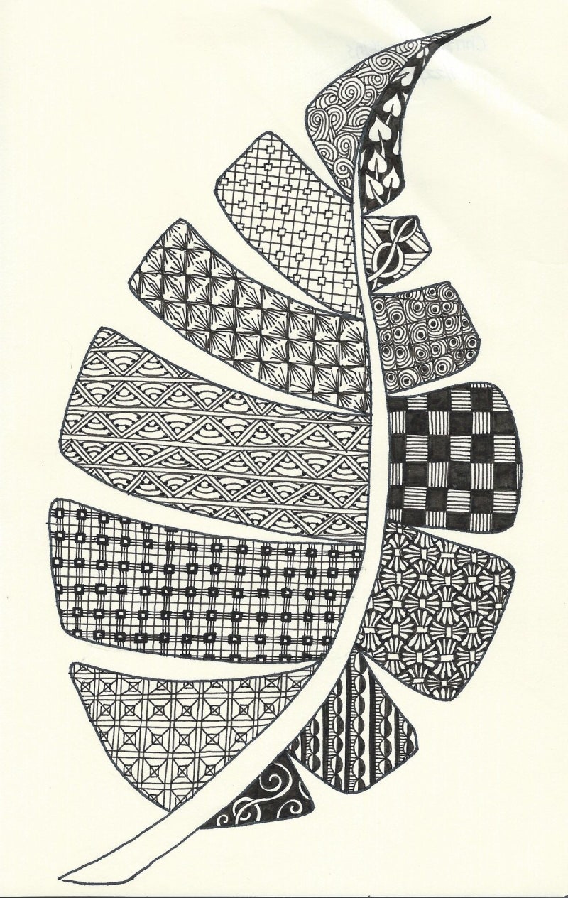 미어캣고사리 pleopeltis lepidopteris | 중고나라 - 안심되는 중고거래, image size:800x1264