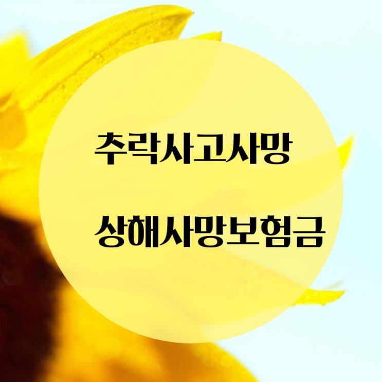  추락사고사망보험금 상해사망보험금으로 부부손해사정사는 지급받았습니다.