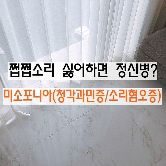  미소포니아(청각과민증) : 쩝쩝대는소리,반복되는소리 싫어하는 나, 정신병일까? 치료가능?