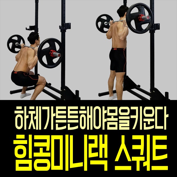 치닝디핑 힘콩 미니랙으로 하체를 키우자!