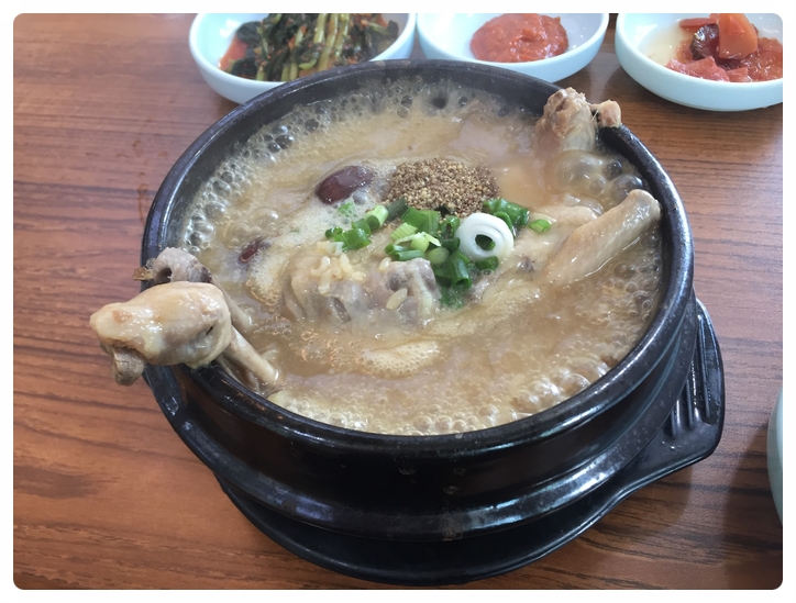  송내 강원 한방 토종 삼계탕! 몸보신 제대로 했습니다^0^