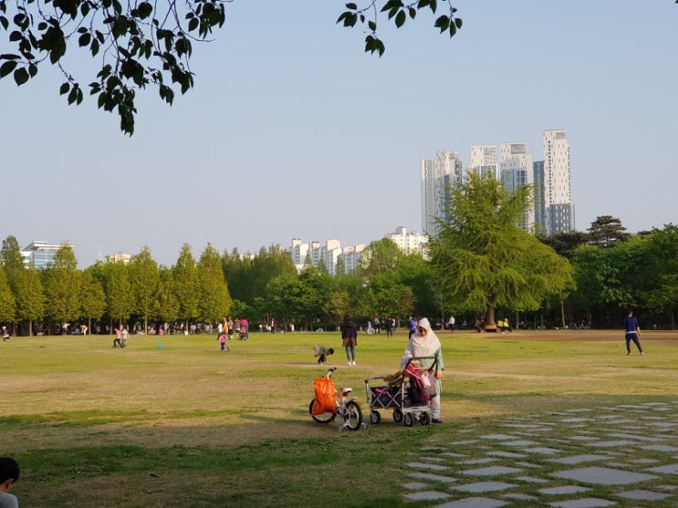  서울숲 소개와 파크데이 페스티벌