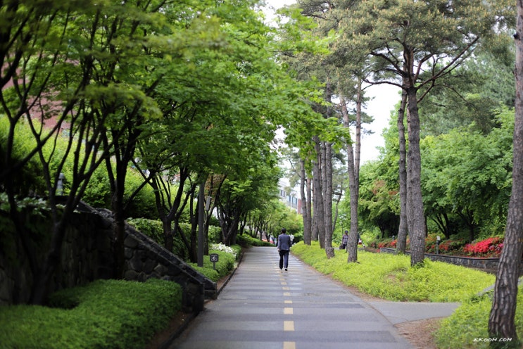 경의선 숲길 산책(공덕역 ~ 서강대역) 경의선 숲길 산책(공덕역 ~ 서강대역)