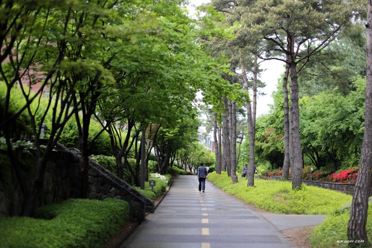 경의선 숲길 산책(공덕역 ~ 서강대역)