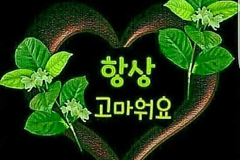 힐링노래짱 이미지