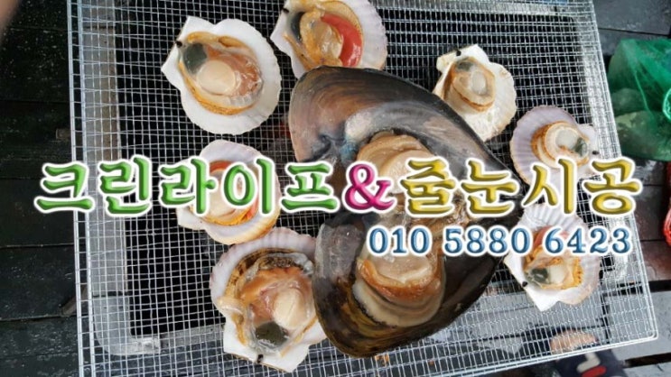  [크린라이프&줄눈시공전문업체]부산기장일출랜드//기장카라반캠핑카