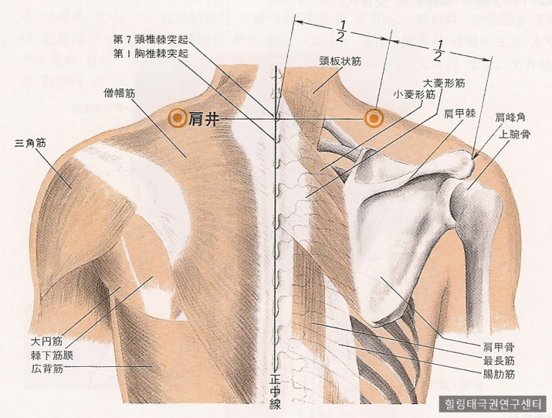 여주한의원 이미지