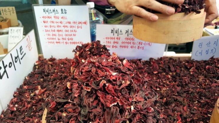  히비스커스 뱃살 빼는데 효과 좋은 다이어트 꽃잎차