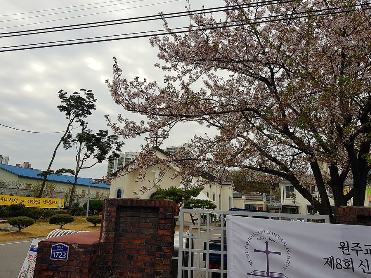  [원주] 단구동 성당은 고즈넉하고 평온했다.