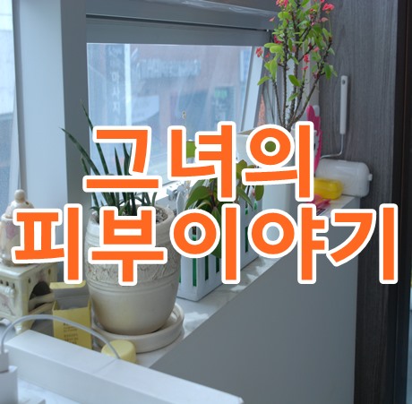 군자피부관리 그녀의피부이야기에서 sebo테라피받고 왔어요