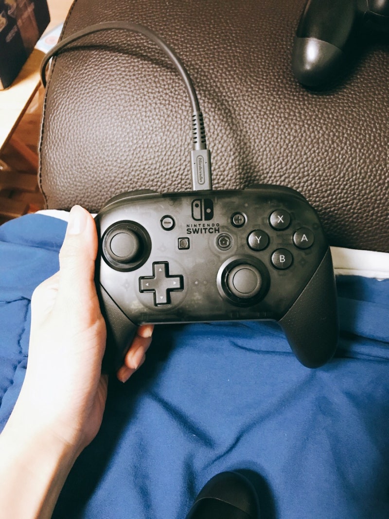 리뷰] 스위치 프로콘과 조이트론 ex스위치 특징비교 및 사용후기 : 네이버 블로그