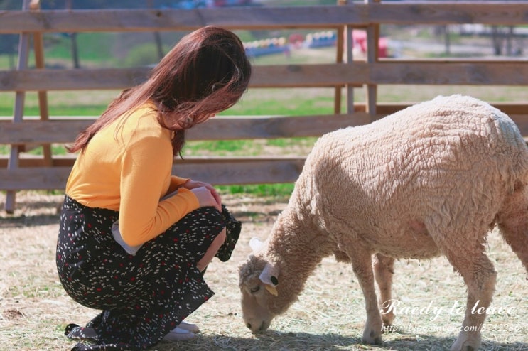  나혼자산다 박나래 강릉 당일치기 패키지 여행