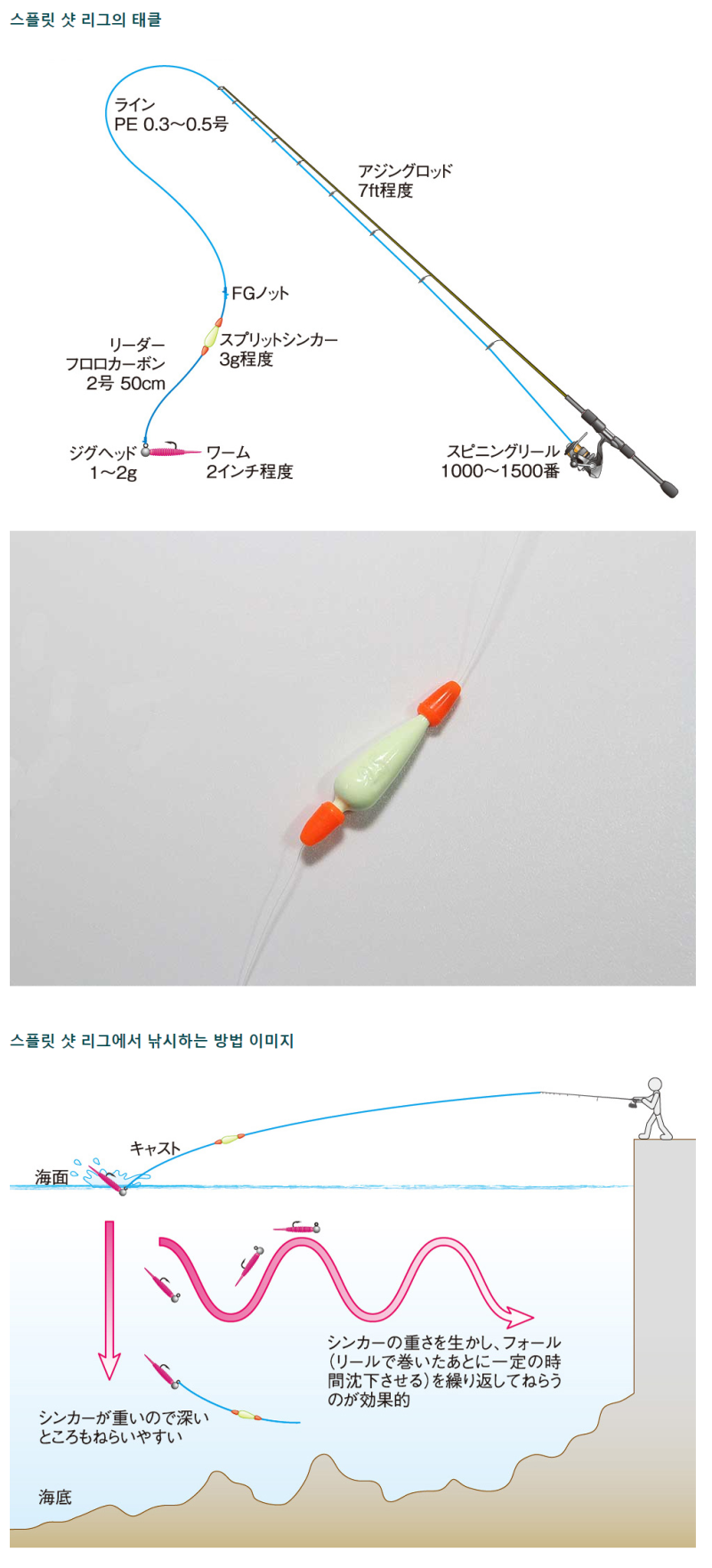 여수 볼락 나를 위한 메모 네이버 블로그