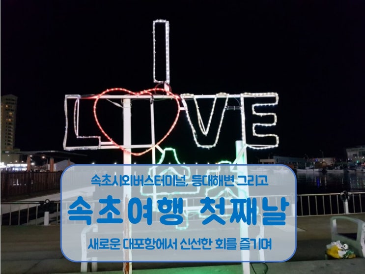  속초여행 1일차 속초시외버스터미널 등대해변 그리고  대포항