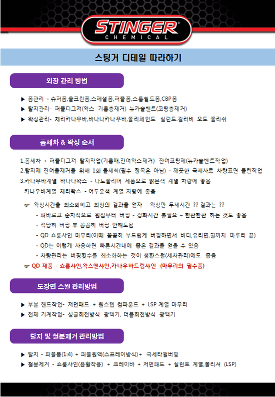  스팅거 세차