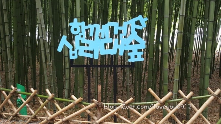 함께걷자 십리대숲:) 함께걷자 십리대숲:)