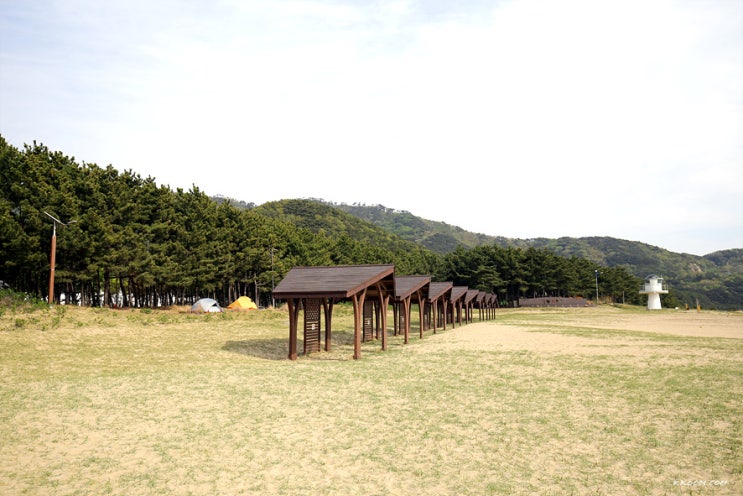 솔향기 그윽한 덕적도 '서포리해수욕장' 솔향기 그윽한 덕적도 '서포리해수욕장'