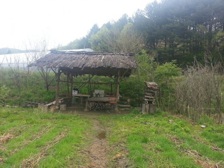  홍천 최성현 자연농부