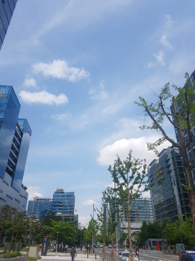  버거킹 킹오더와 점심산책 다이어트