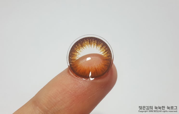 클라렌 아이리스2 오렌지브라운 클라렌 아이리스2 오렌지브라운