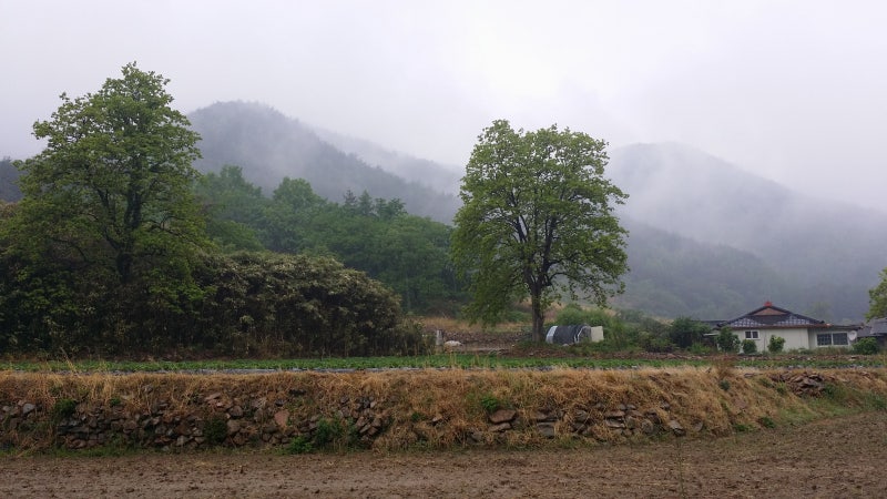 경북 영덕군 장육사 템플스테이. : 네이버 블로그