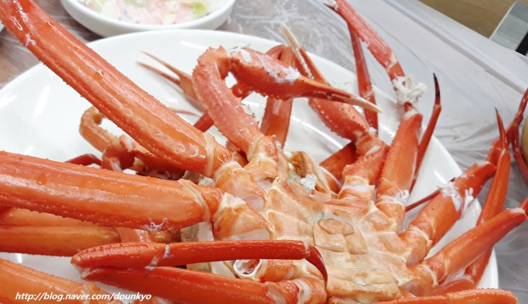  대전 관저동맛집 참바다대게 홍게 무한리필