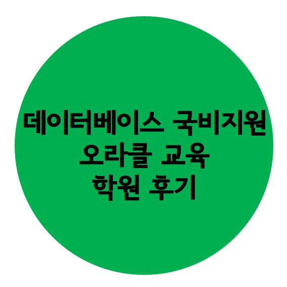 [오라클 교육] 데이터베이스 국비지원 학원 후기(feat. 아이티윌 강남)