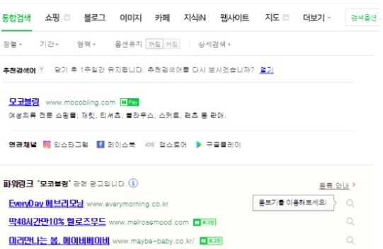  [모르면 망하고, 알면 흥하는 쇼핑몰 전략] (1) 쇼핑몰 오픈 후, 자사명 키워드 광고하면 안 되는 이유