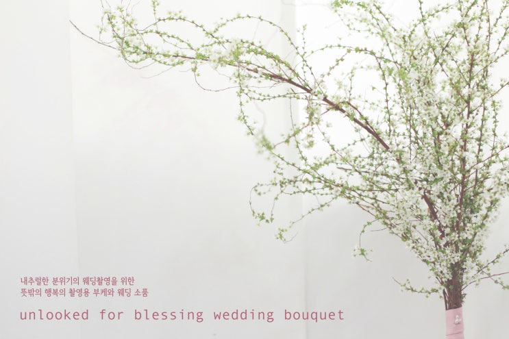 unlooked for blessing wedding bouquet 촬영용 부케