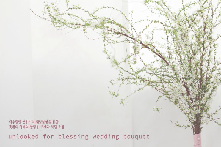  unlooked for blessing wedding bouquet 촬영용 부케