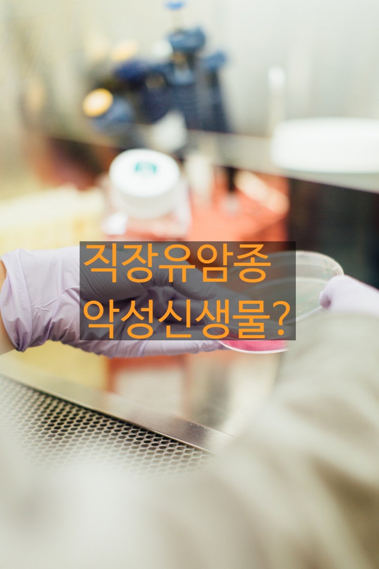  직장유암종{ D37.5}  신경내분비종양이 악성신생물에 해당하는지 여부?