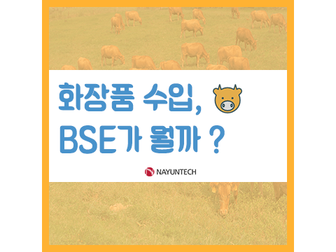  화장품 수입, BSE ?
