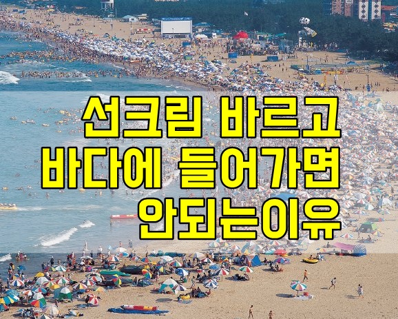  선크림 바르고 바다에 들어가면 안되는이유!