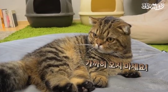 유튜브 크림히어로즈에 대한 논란 정리 1탄! : 네이버 블로그