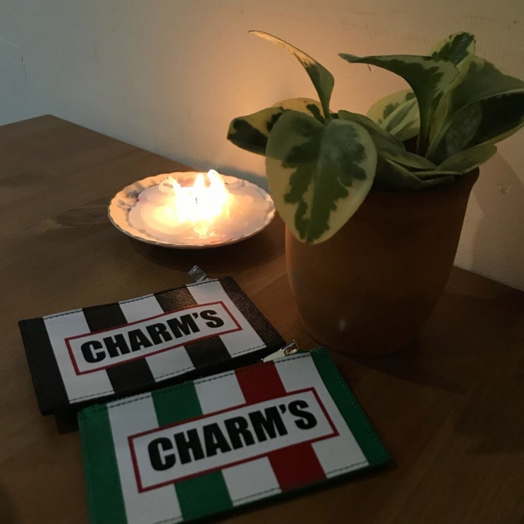  Charms Kappa X gs25 콜라보 카드지갑 후기