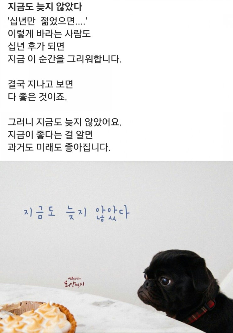  좋은글