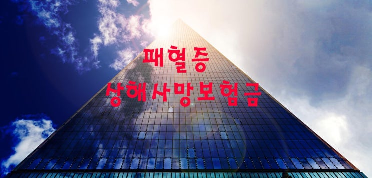  패혈증사망 한 경우 상해사망보험금으로 부부손해사정사가 보험금지급 받았습니다.