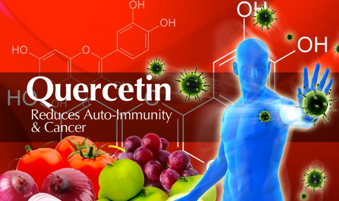 퀘르세틴(Quercetin) - 항염, 항앨러지, 면역균형