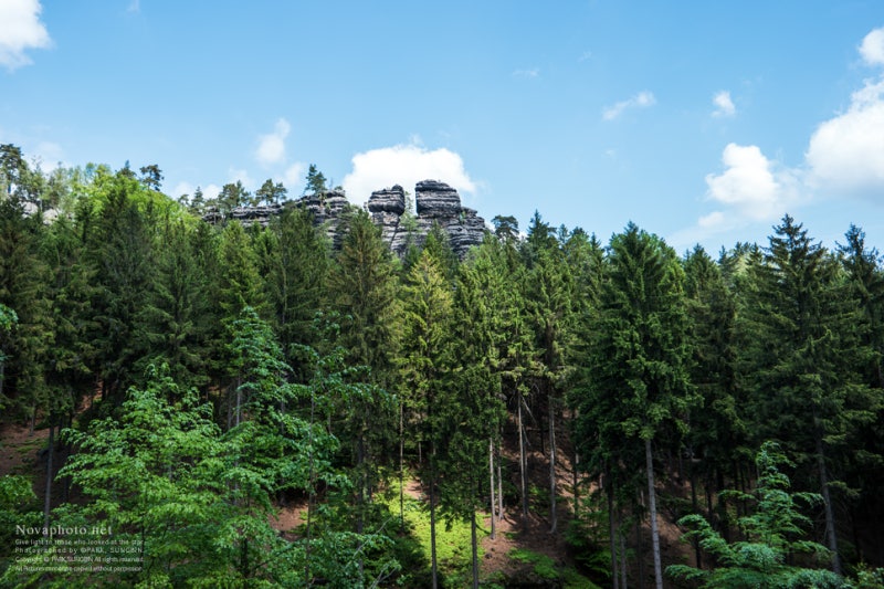 뉴트로지나립밤 노르웨이 존 포뮬러 나리쉬 립케어 Neutrogenanourishinglipcare 1