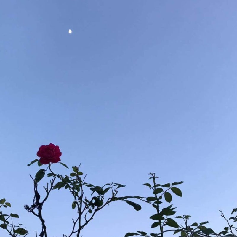 키작은 여자 쇼핑몰 :: 여성스러운 느낌 150초반 코디 사이트 모음 공유합니다!
