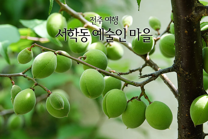 [전주 여행] 서학동 예술마을