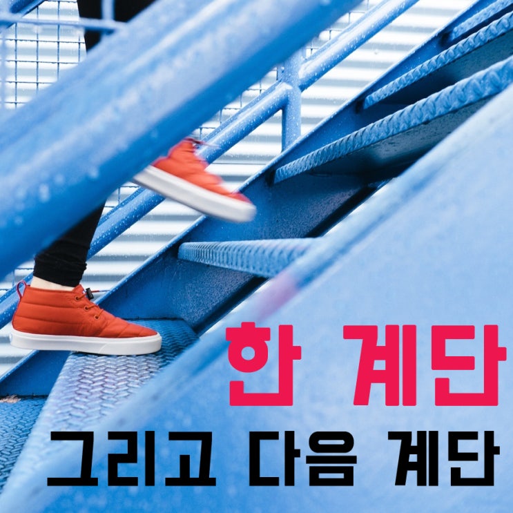  과정중심평가 성공사례… 미림여고, 그리고 강의하는 아이들