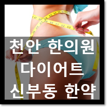  천안다이어트한약 C칼럼011 : 스타벅스 초콜릿 푸딩 칼로리