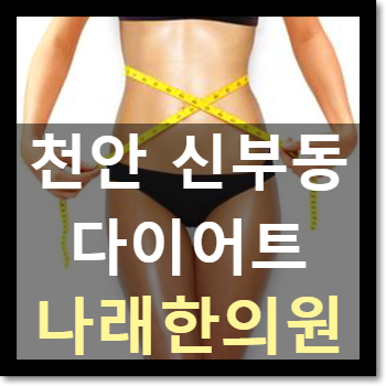  천안다이어트한약 C칼럼012 : 롤케익 칼로리는?